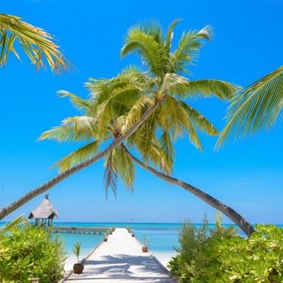 百姓彩票登录平台