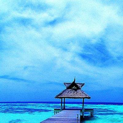 万博全站(ManBetX)app下载截图