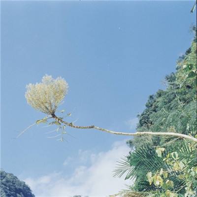 澳门新莆京游戏