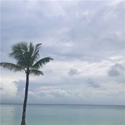 澳门威尼斯人软件