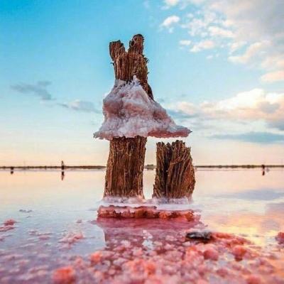 澳门新葡澳京手机app下载