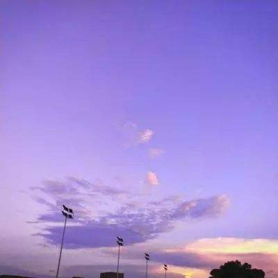 澳门2023全年免费资料大全app下载