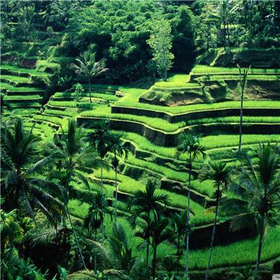 九游会AG下载手机版